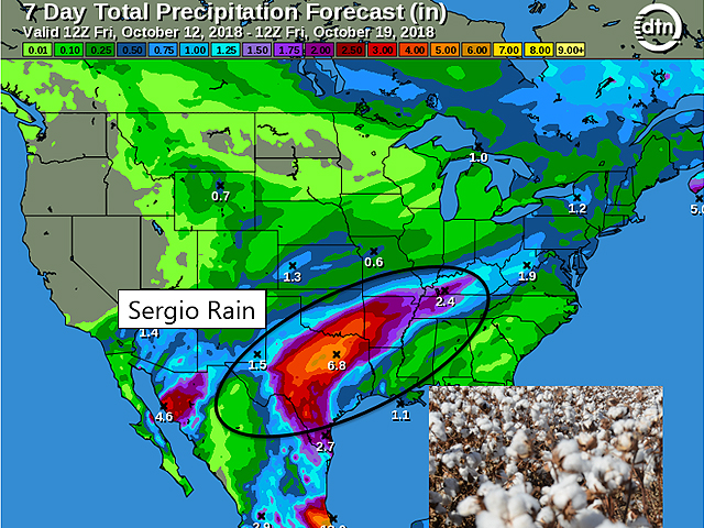 A large swath of the Southern Plains has rainfall in excess of 3 inches forecast over the next week, mainly due to remnants of Tropical Storm Sergio. Inset: Texas cotton is estimated at 70% boll-opening, vulnerable to rain damage. (DTN graphic)